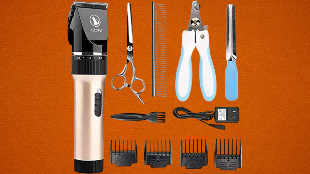 Ceenwes Rechargeable Kit
