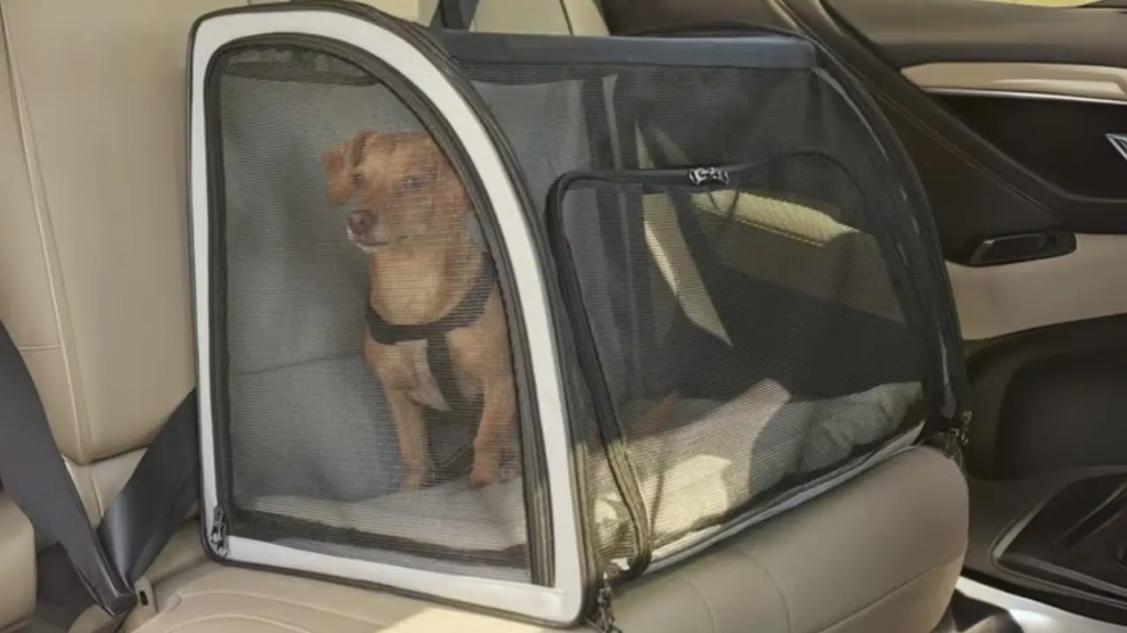 Dog Travel Accessories
