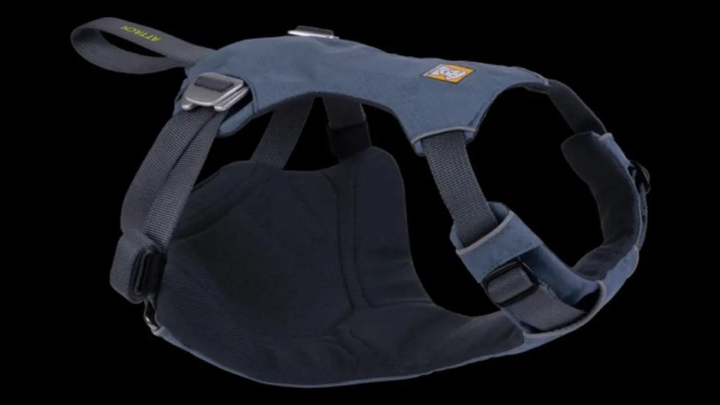 Dog Travel Accessories
