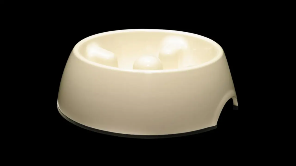 Slow Feeder Bowls