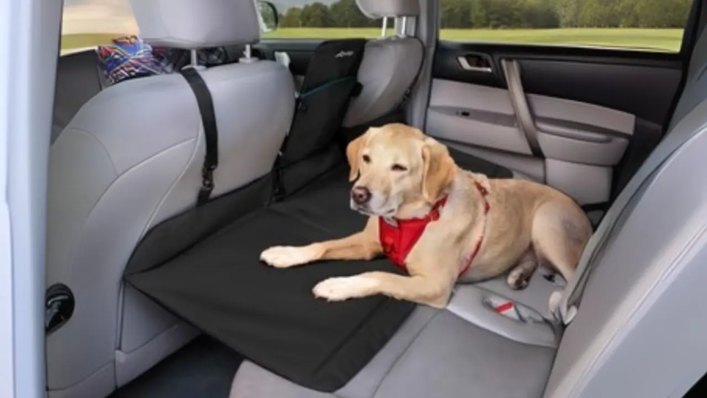 Dog Travel Accessories