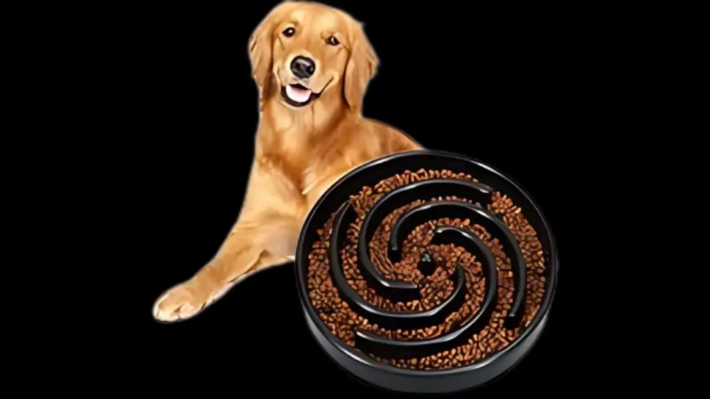 Slow Feeder Bowls
