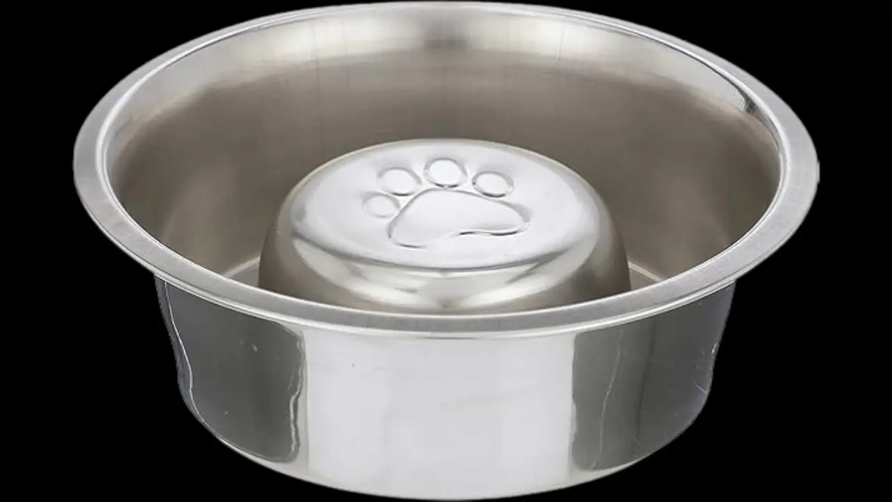Stainless steel pet food bowl