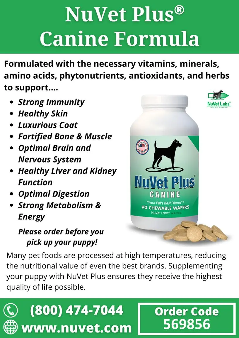 NuVet Plus canine formula bottle with nutritional facts sheet for dog health maintenance